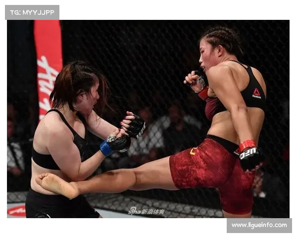 井上瑞树发布女子格斗技术统计模型，开启发展新篇章